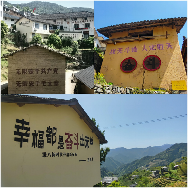 http://www.bzosl.cn/hsdt/234.html
